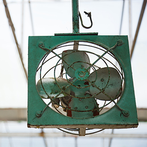 Plate Fan